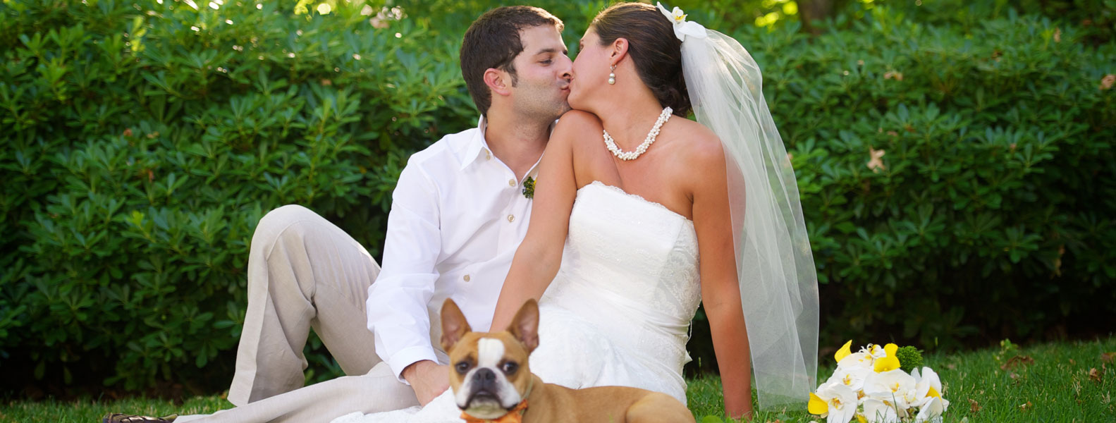 免费ddos攻击网页端